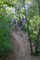 VTT15_126.jpg