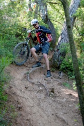 VTT15_129.jpg
