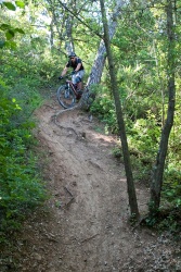 VTT15_130.jpg