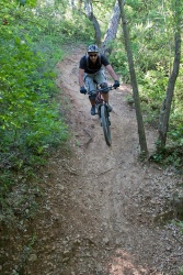 VTT15_132.jpg