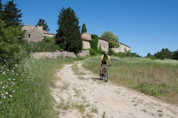VTT15_133.jpg