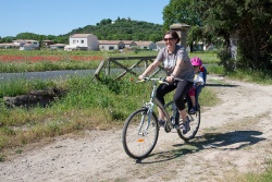 VTT15_136.jpg