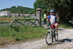VTT15_137.jpg