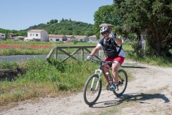 VTT15_138.jpg