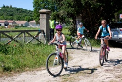VTT15_140.jpg