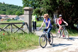 VTT15_148.jpg