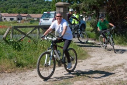 VTT15_151.jpg