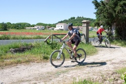 VTT15_155.jpg