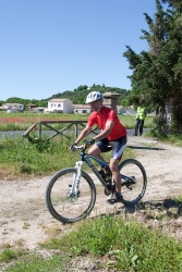 VTT15_156.jpg