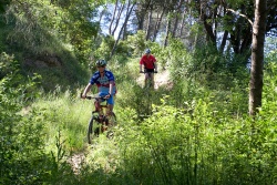 VTT15_157.jpg