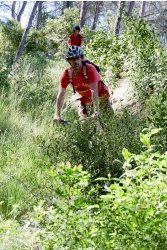 VTT15_161.jpg