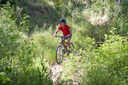 VTT15_162.jpg