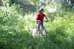 VTT15_163.jpg
