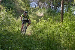 VTT15_164.jpg
