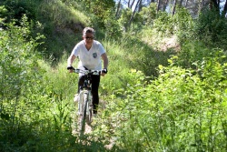 VTT15_165.jpg