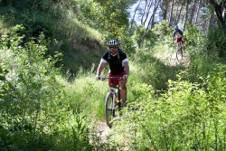 VTT15_166.jpg