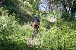 VTT15_167.jpg
