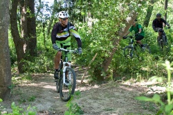 VTT15_168.jpg