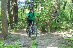 VTT15_169.jpg