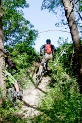 VTT15_171.jpg