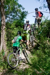 VTT15_172.jpg