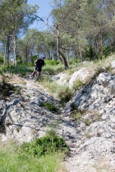 VTT15_176.jpg