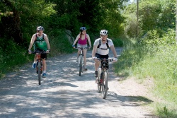 VTT15_177.jpg