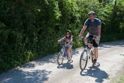 VTT15_179.jpg