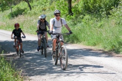 VTT15_180.jpg