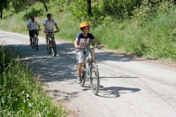 VTT15_182.jpg