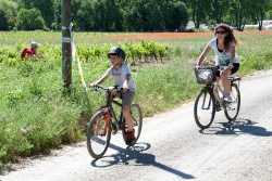 VTT15_185.jpg