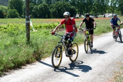 VTT15_186.jpg