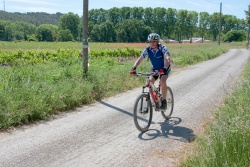 VTT15_187.jpg
