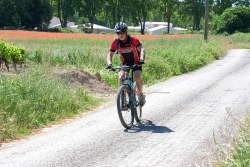 VTT15_188.jpg