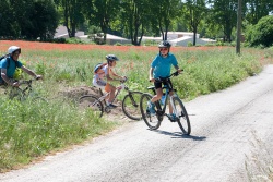 VTT15_189.jpg