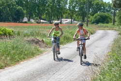 VTT15_190.jpg