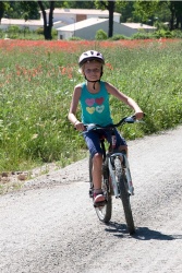 VTT15_194.jpg