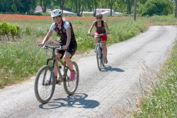 VTT15_195.jpg