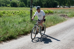 VTT15_196.jpg