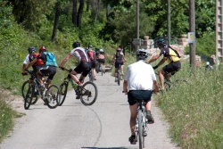 VTT15_197.jpg