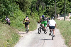 VTT15_198.jpg