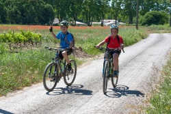 VTT15_199.jpg