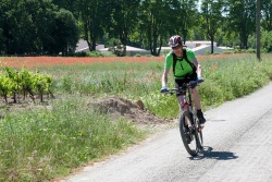 VTT15_200.jpg