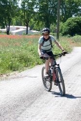 VTT15_201.jpg