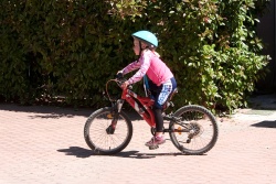 VTT15_204.jpg