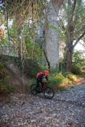 2016_pinedes_du_lez_025.jpg