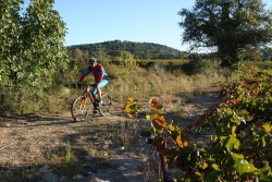 2016_pinedes_du_lez_064.jpg