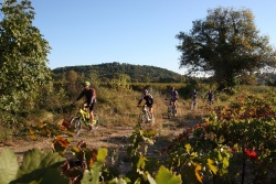 2016_pinedes_du_lez_066.jpg
