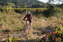 2016_pinedes_du_lez_067.jpg