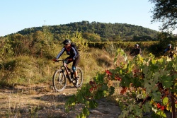2016_pinedes_du_lez_068.jpg